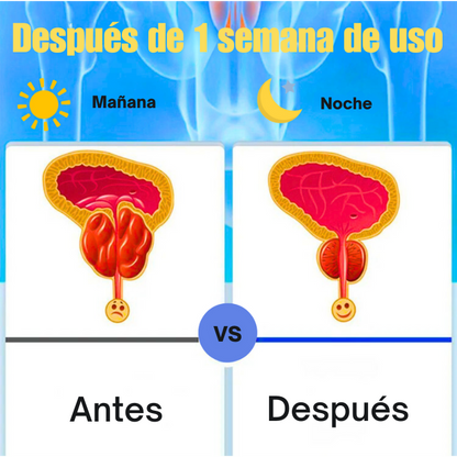 Cuidados con la Próstata Inhalador de Terapia Nasal